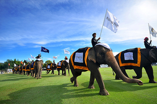 The King’s Cup Elephant Polo Tournament